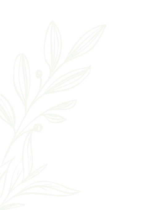 bg03 free img
